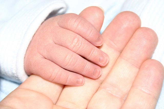 Click for original image 193k 1229x819